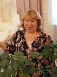 �����������